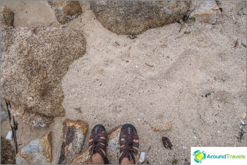 Visually about the composition of the sand on the beach