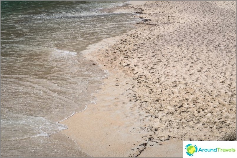 Wet sand - greyish yellow, waves washed fragments of shells