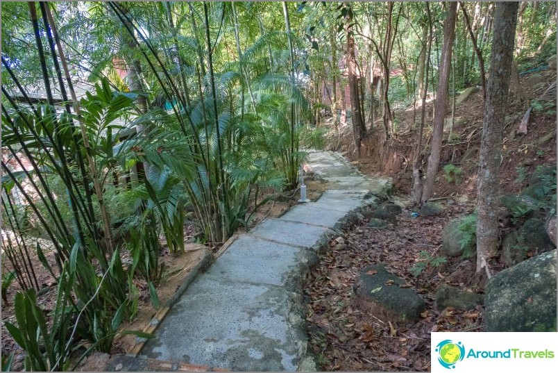 Almost everywhere from the road to the beach will have to go up the stairs