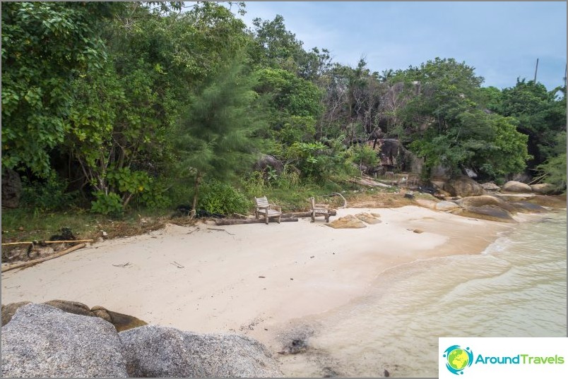 The shore behind the beach is all overgrown with greens of various sizes.