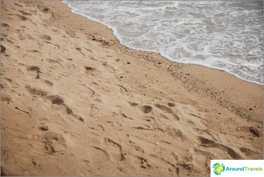 Sand on the beach