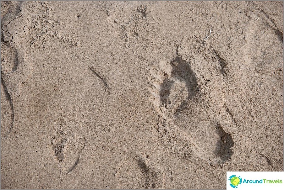Sand on the beach