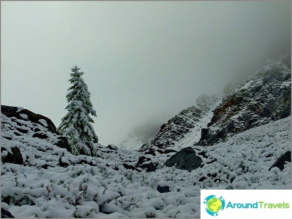 Mountain Altai. Mountain Altai.