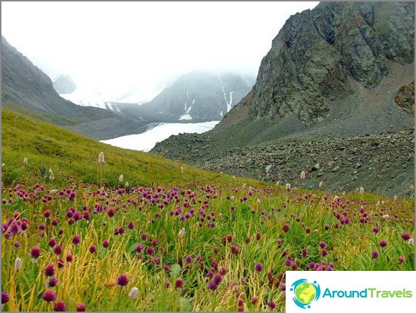 Mountain Altai. Mountain Altai.