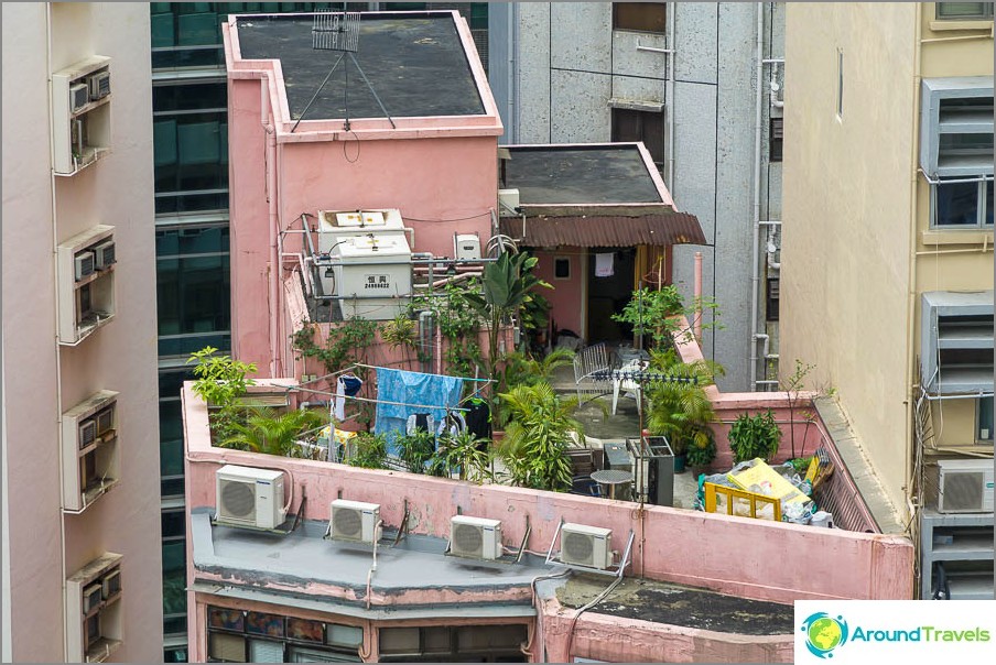 Oasis on the roof of a tall building