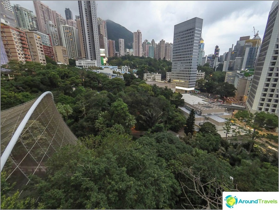 Park Hong Kong - an oasis with a fence of skyscrapers