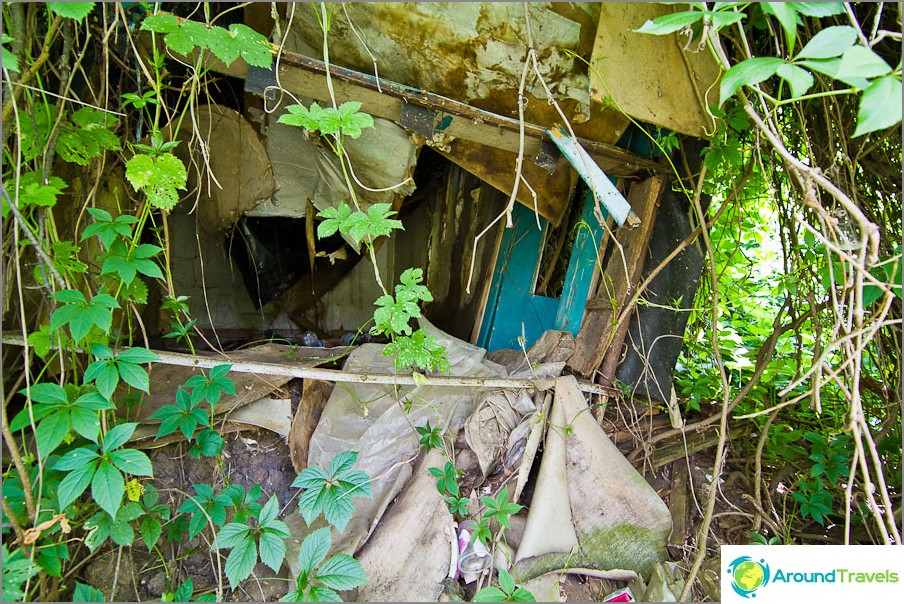 It turns out to be some overgrown and destroyed dacha structure.