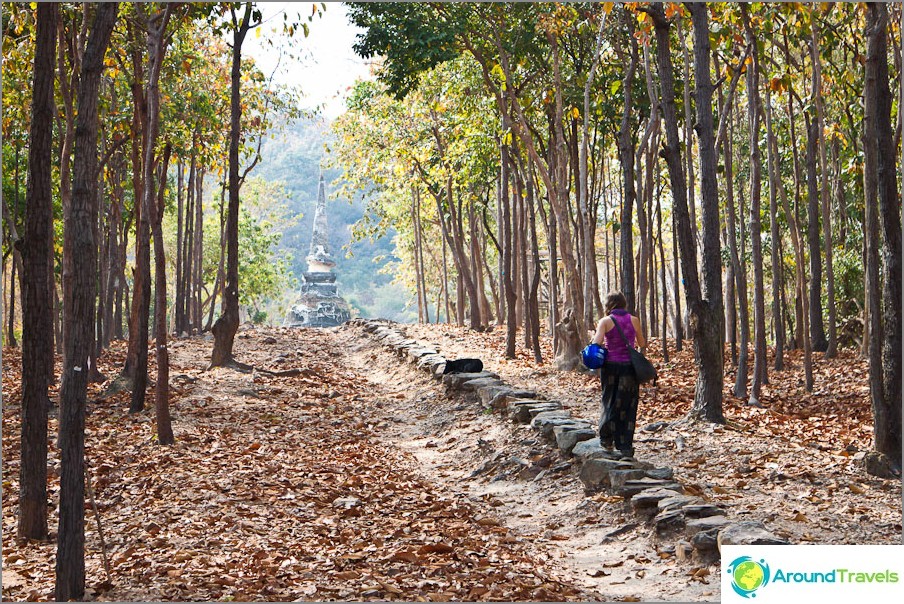 Path to Wat Chedi Ngam