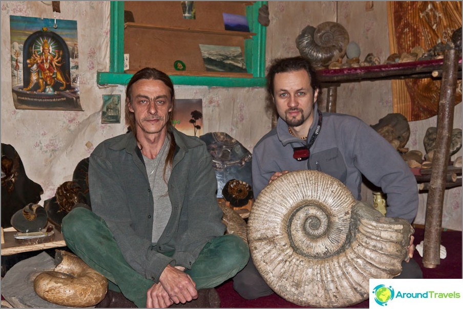 The collection of ammonites Eugene