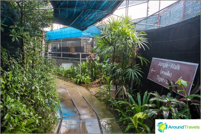 Aquarium and tiger zoo on Samui - sad and expensive