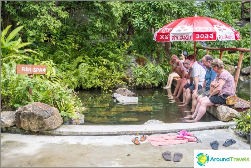 The cost of visiting the fish spa is included in the price of admission - 50 baht