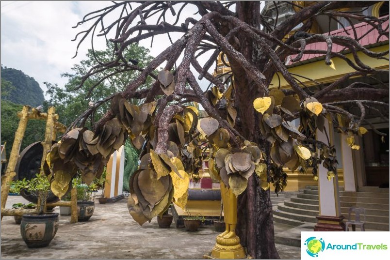 Tree with leaves on which desires are written. You can buy such a sheet in the pavilion nearby.