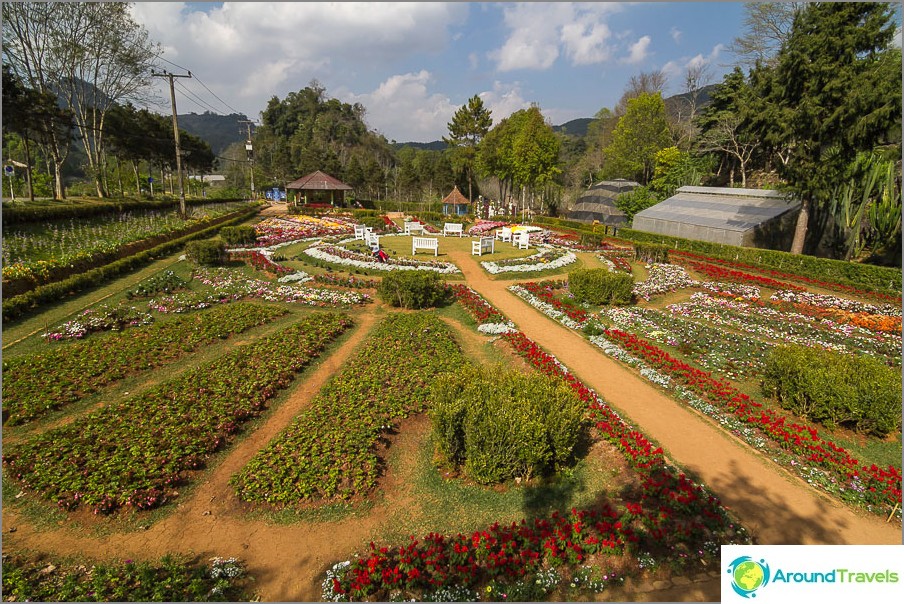 Flowerbed complex at the beginning of the journey