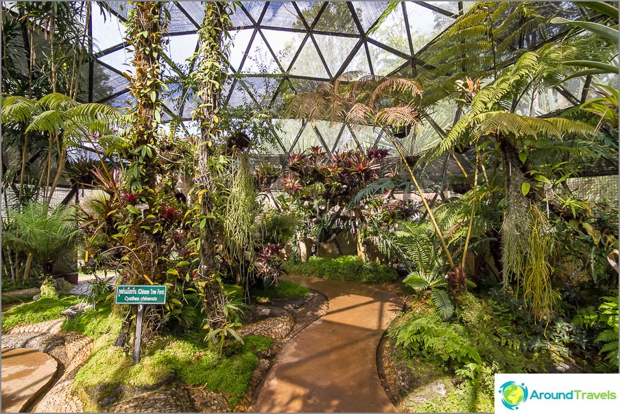 Tropical Pavilion, all overgrown and wet