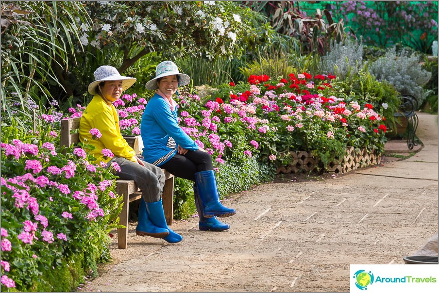 Park workers in the flower pavilion