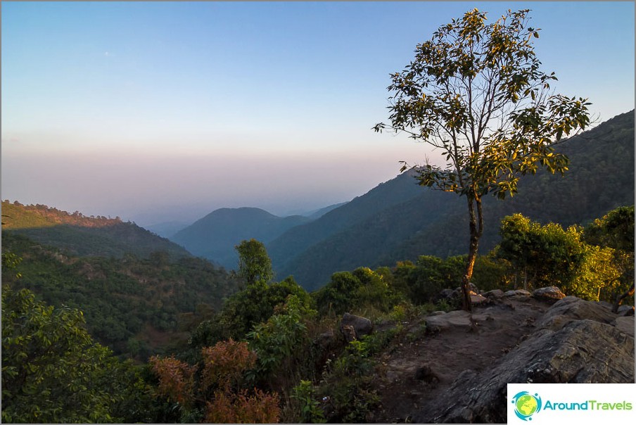 View from the observation point