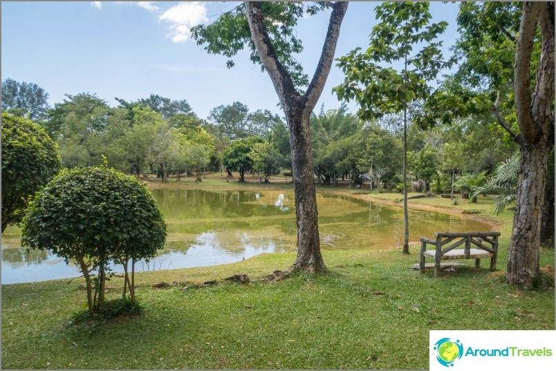 Kings Park (Rama IX Park) - the only park in Phuket