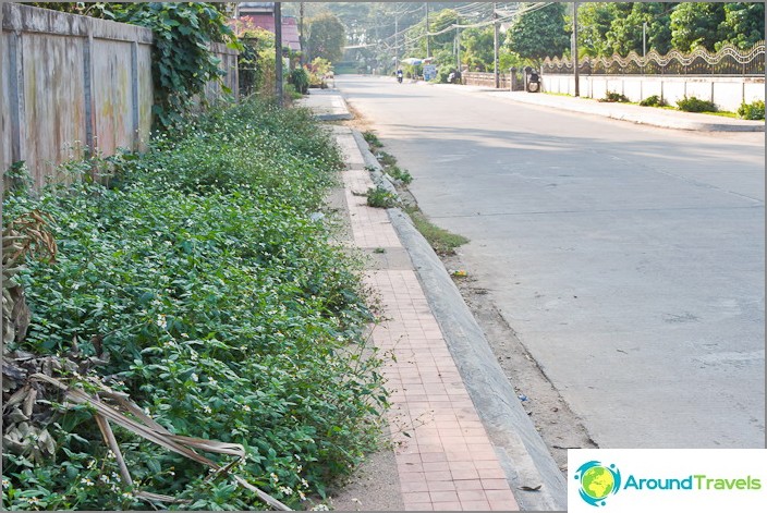 Some sidewalks in Chiang Saen are already overgrown.