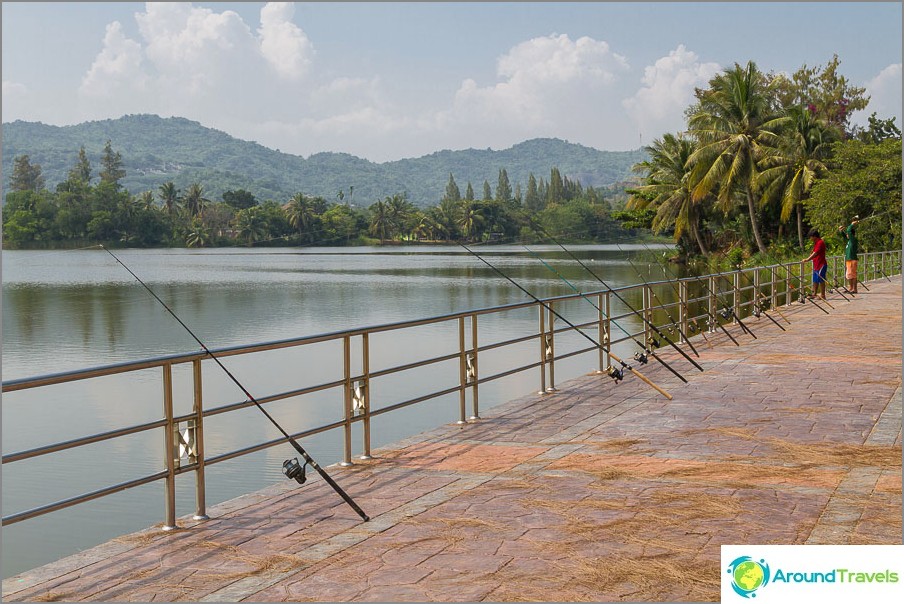 Near the mountain Khao Tao there is a lake where fishing is popular