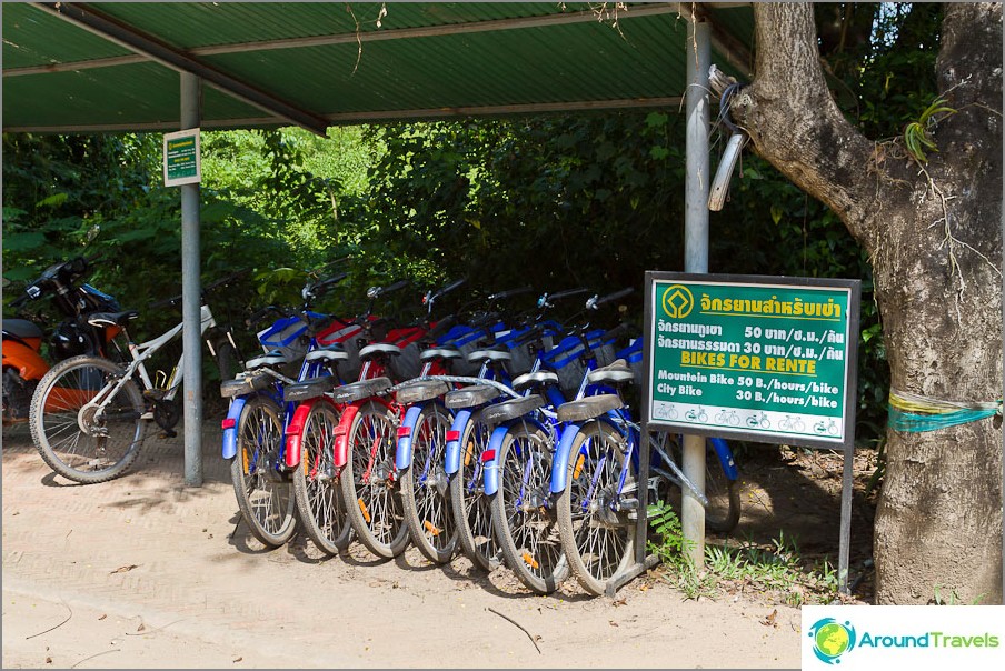 Bicycle rental in the historic Kampeng Pet Park