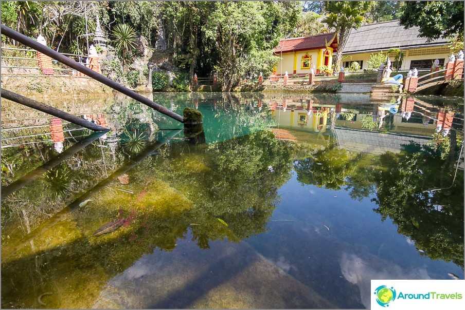 Pond with emerald water and sky reflection