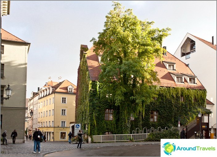 A green oasis in the center of Munich