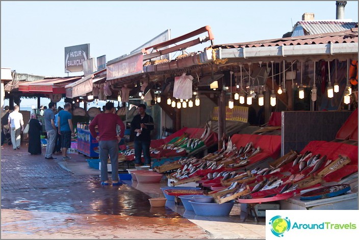 Fish Market on the shore of the Sea of ​​Marmara. The stench is terrible.