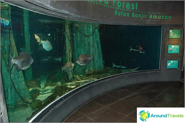 One of the large aquariums of the Oceanarium