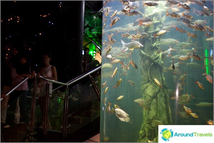 Entrance to the lower floor of the Kuala Lumpur Oceanarium