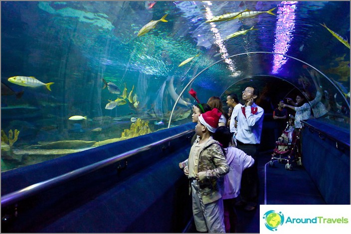 Tunnel at Kuala Lumpur Oceanarium
