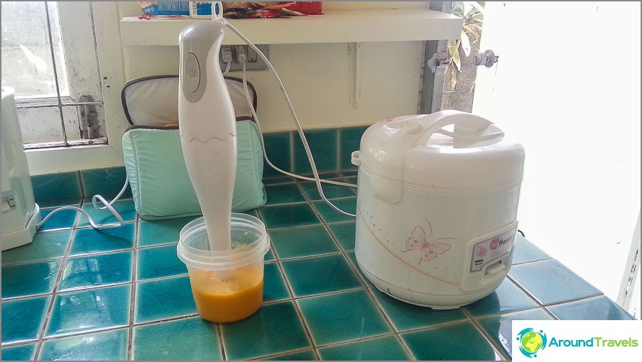 Blender Chopped Mango